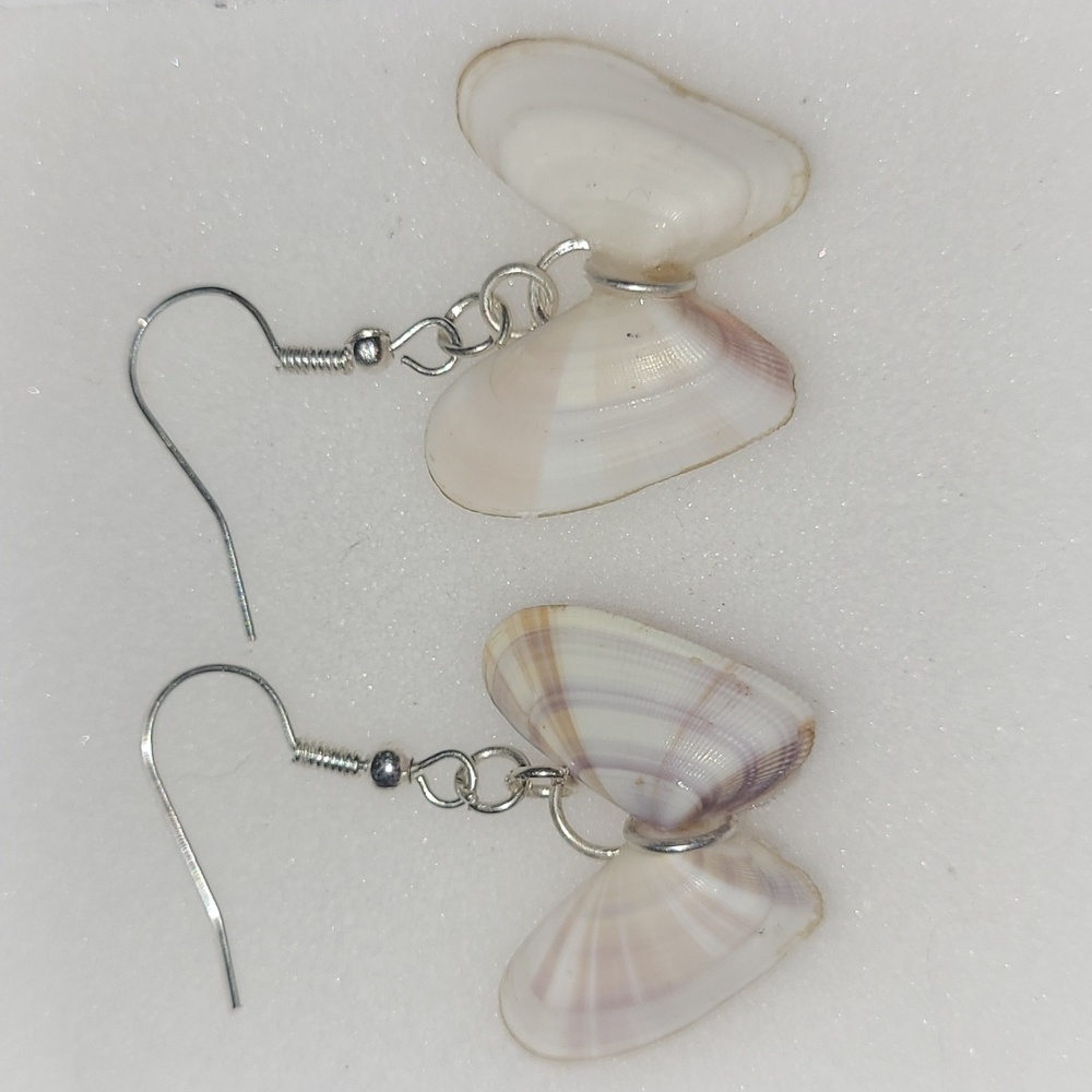 Hand Made Shell Earrings - Picture 4 of 4